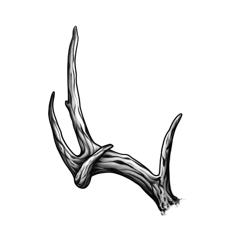 Left Antler - InkOMG