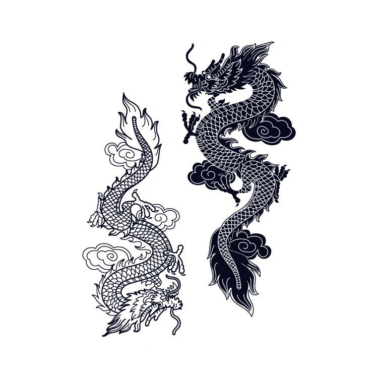 Schwarze und weiße Drachen