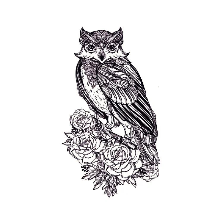 Nightwatcher Owl - InkOMG