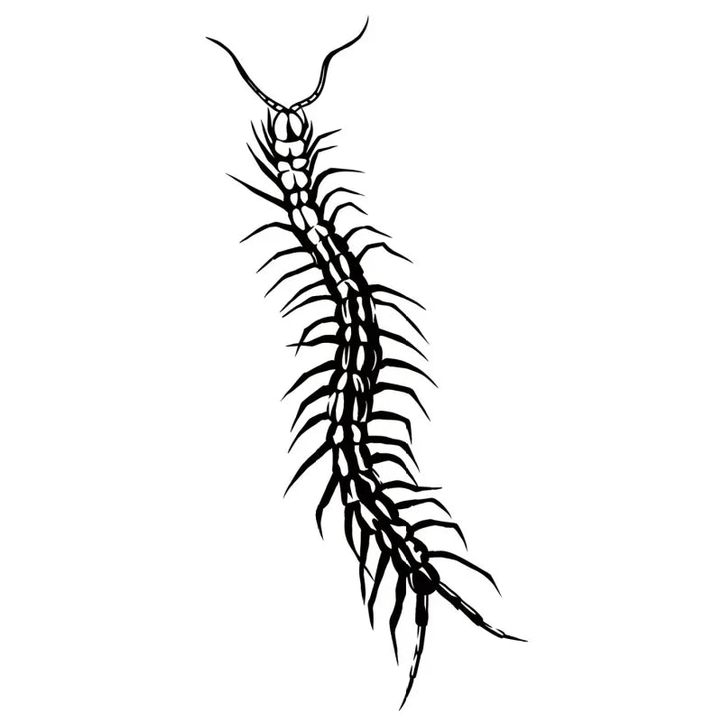 Centipede - InkOMG
