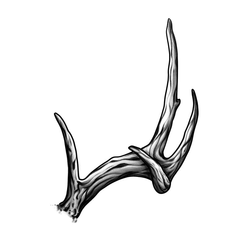 Right Antler