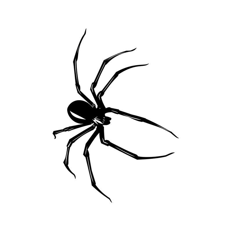 Schwarze Spinne