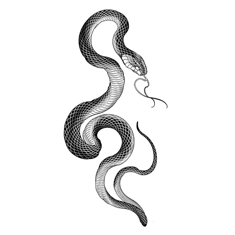 Serpiente elegante