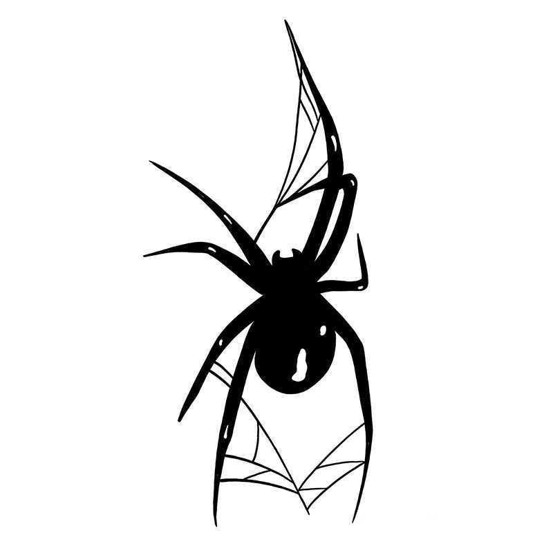 Spinne 2