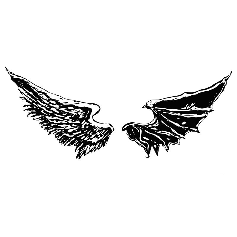 Angel & Devil Wings