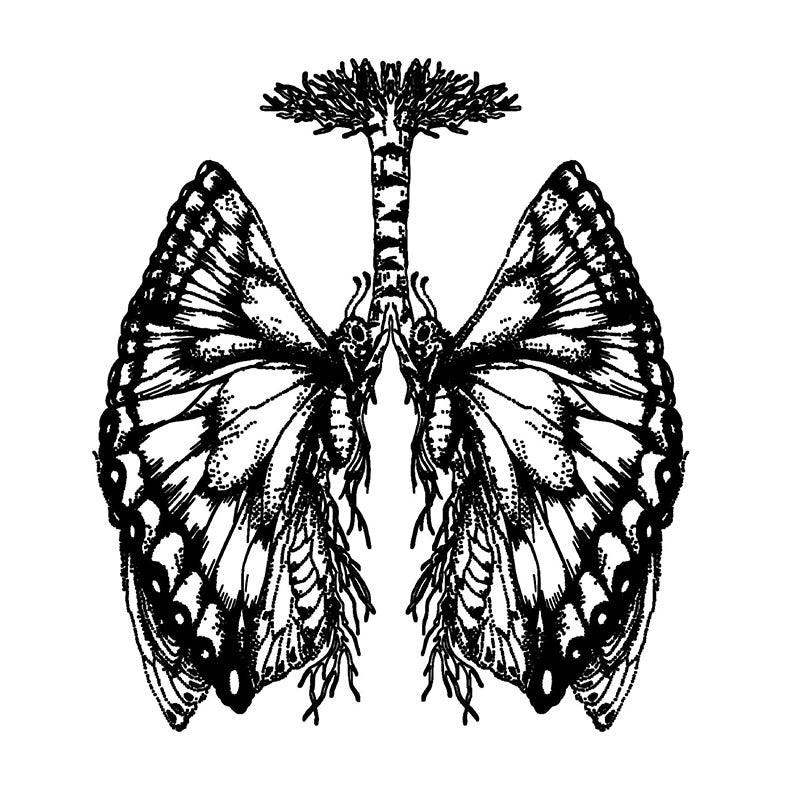 Butterfly Lungs