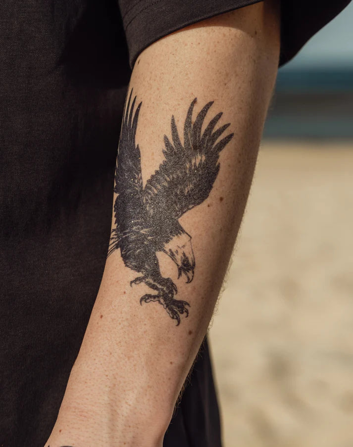 Bald eagle tattoo design on real model's arm