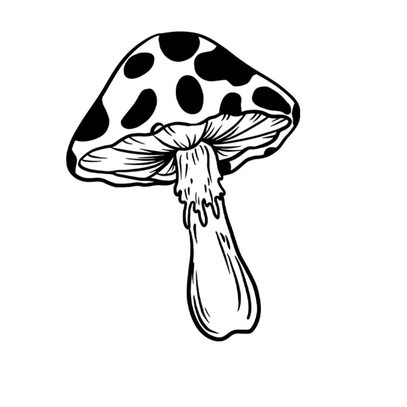 Mushroom